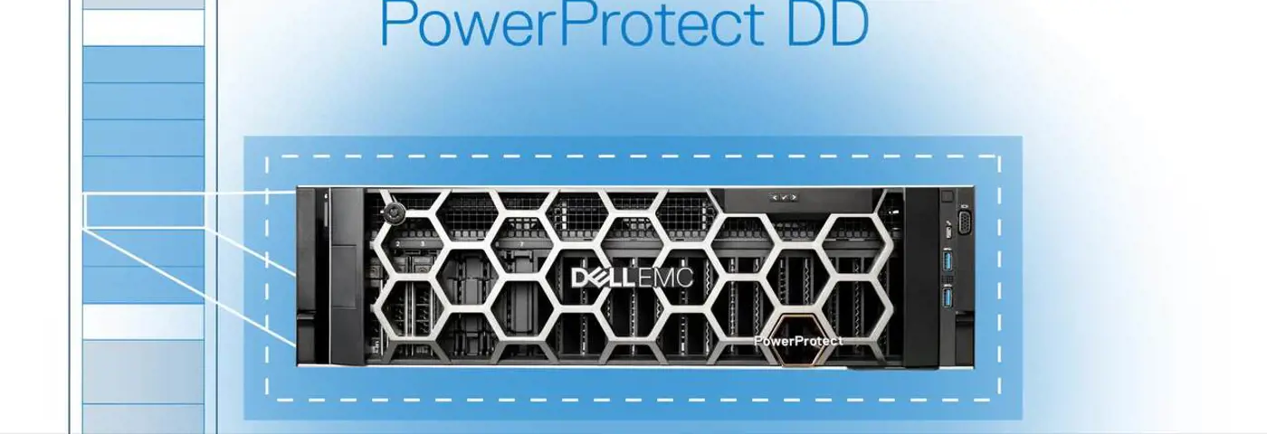 Dell PowerProtect DD - Virtual vs Physical