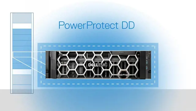 Dell PowerProtect DD - Virtual vs Physical