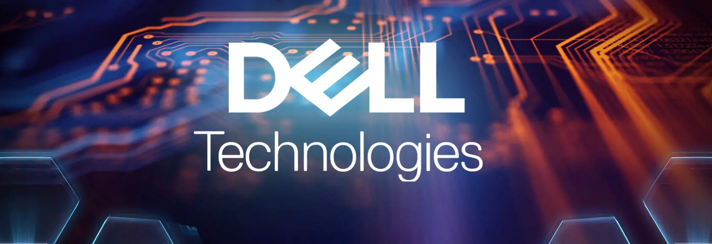 Dell PowerProtect Data Domain v kocke
